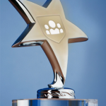 Endpoint Protector 4 wins the Cybersecurity Excellence Award for DLP