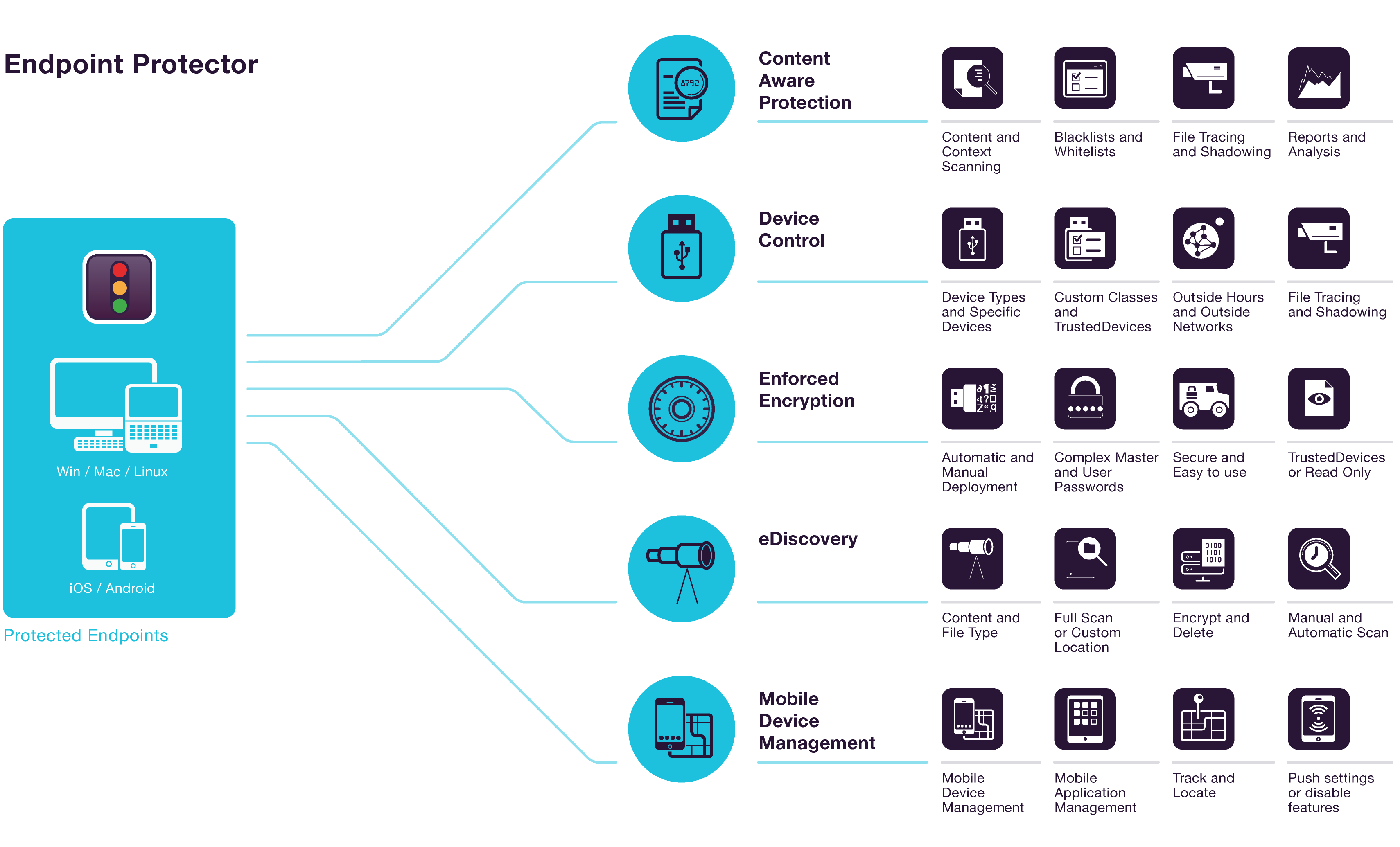 Infographic