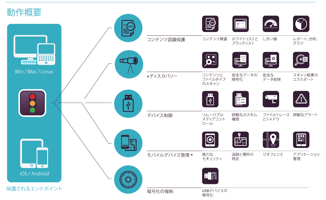 Infographic